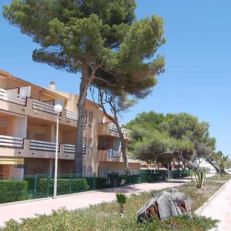 شقة Zeus Guardamar Seaview ميامي بلاتجا المظهر الخارجي الصورة