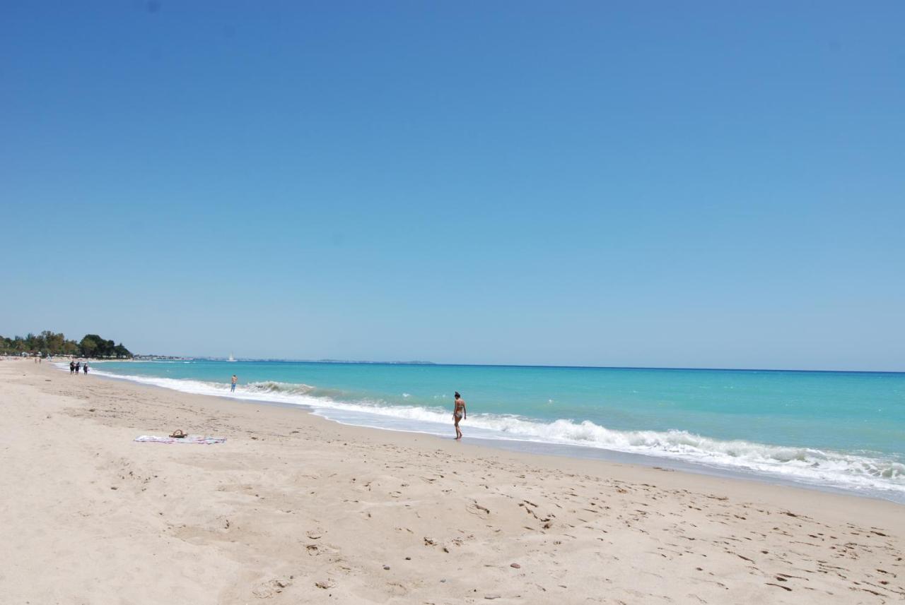 شقة Zeus Guardamar Seaview ميامي بلاتجا المظهر الخارجي الصورة