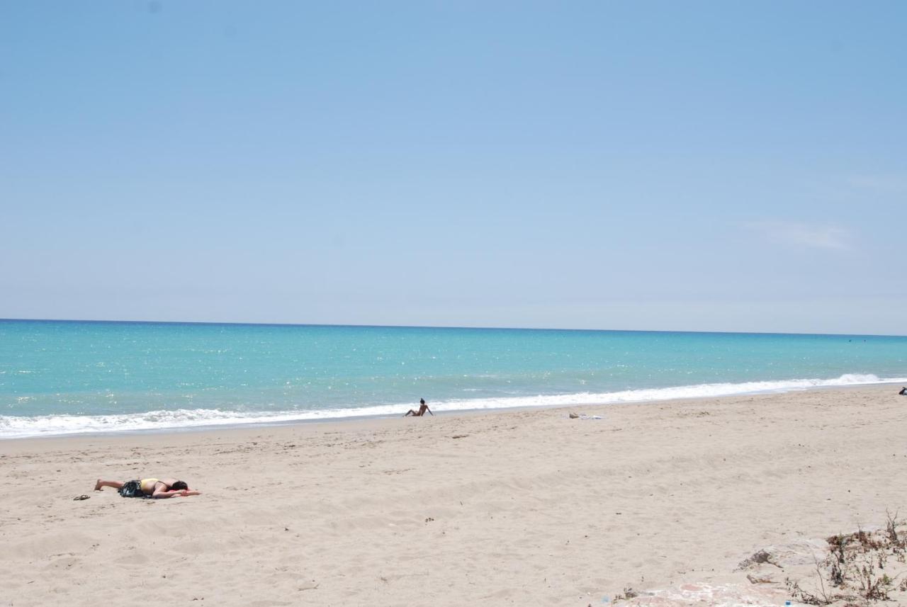 شقة Zeus Guardamar Seaview ميامي بلاتجا المظهر الخارجي الصورة